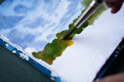 WATERCOLOR SKETCHBOOKS