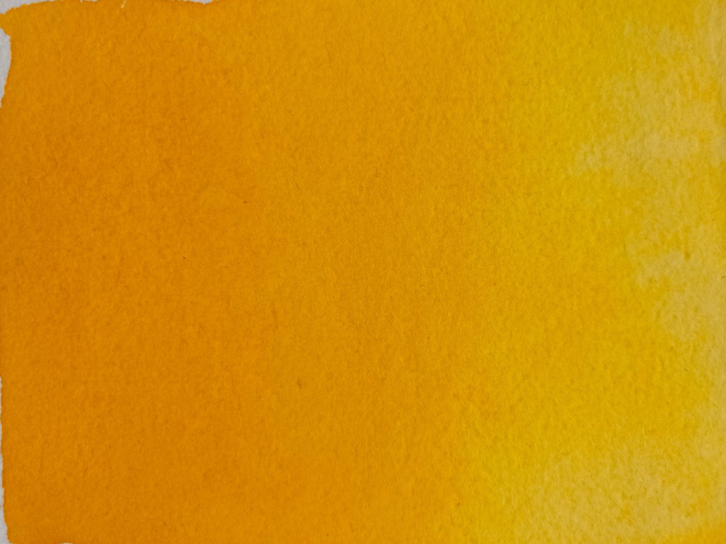 Alphonso Yellow [PY83]