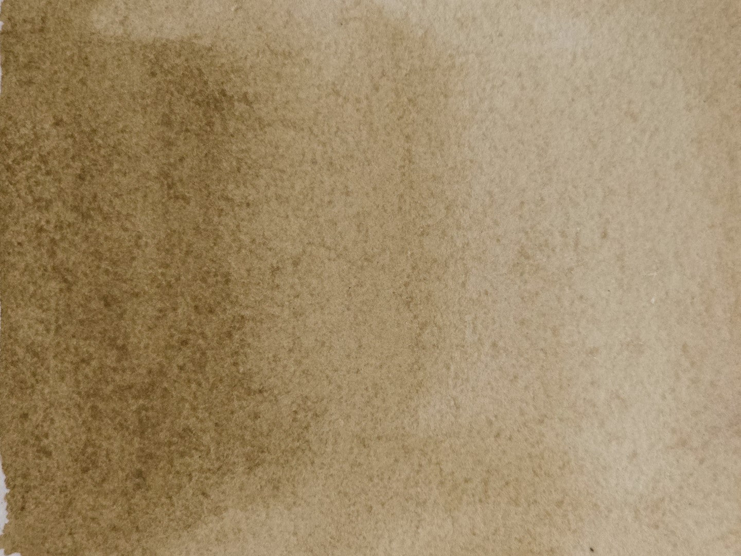 Bark Raw Umber [PBr7]