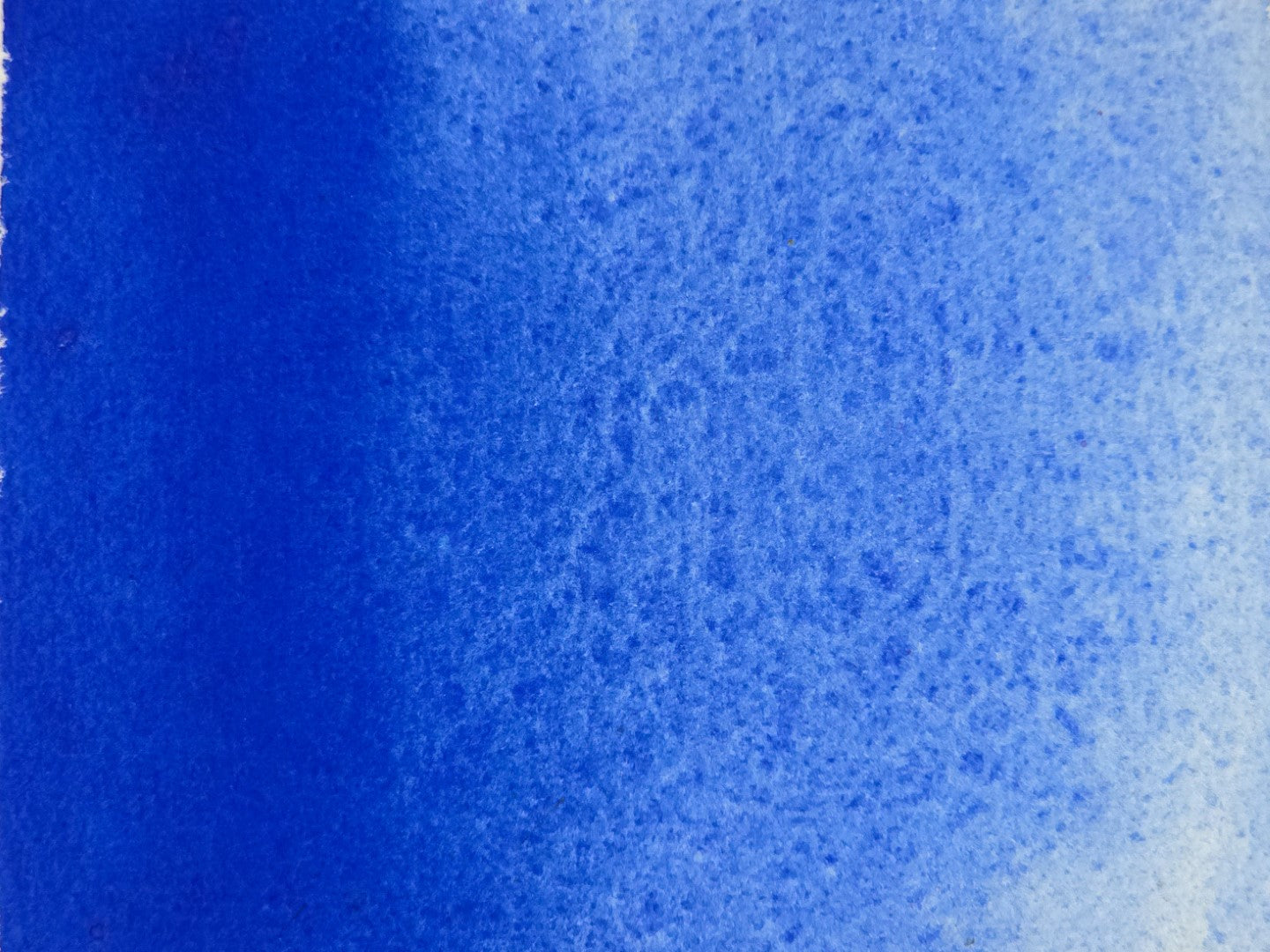 Butterflypea Ultramarine [PB29]