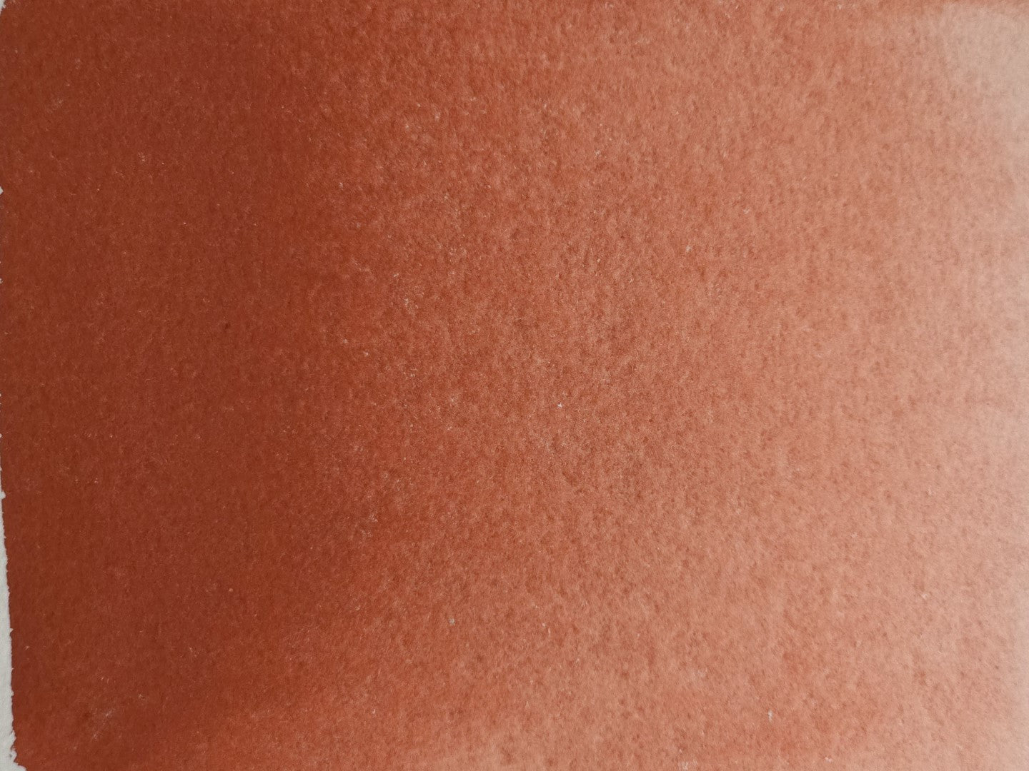 Chinar Red [PR101]
