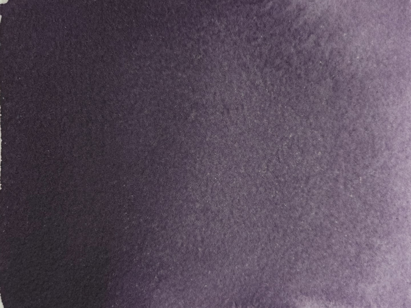 Eggplant Purple [PV19, PG7]