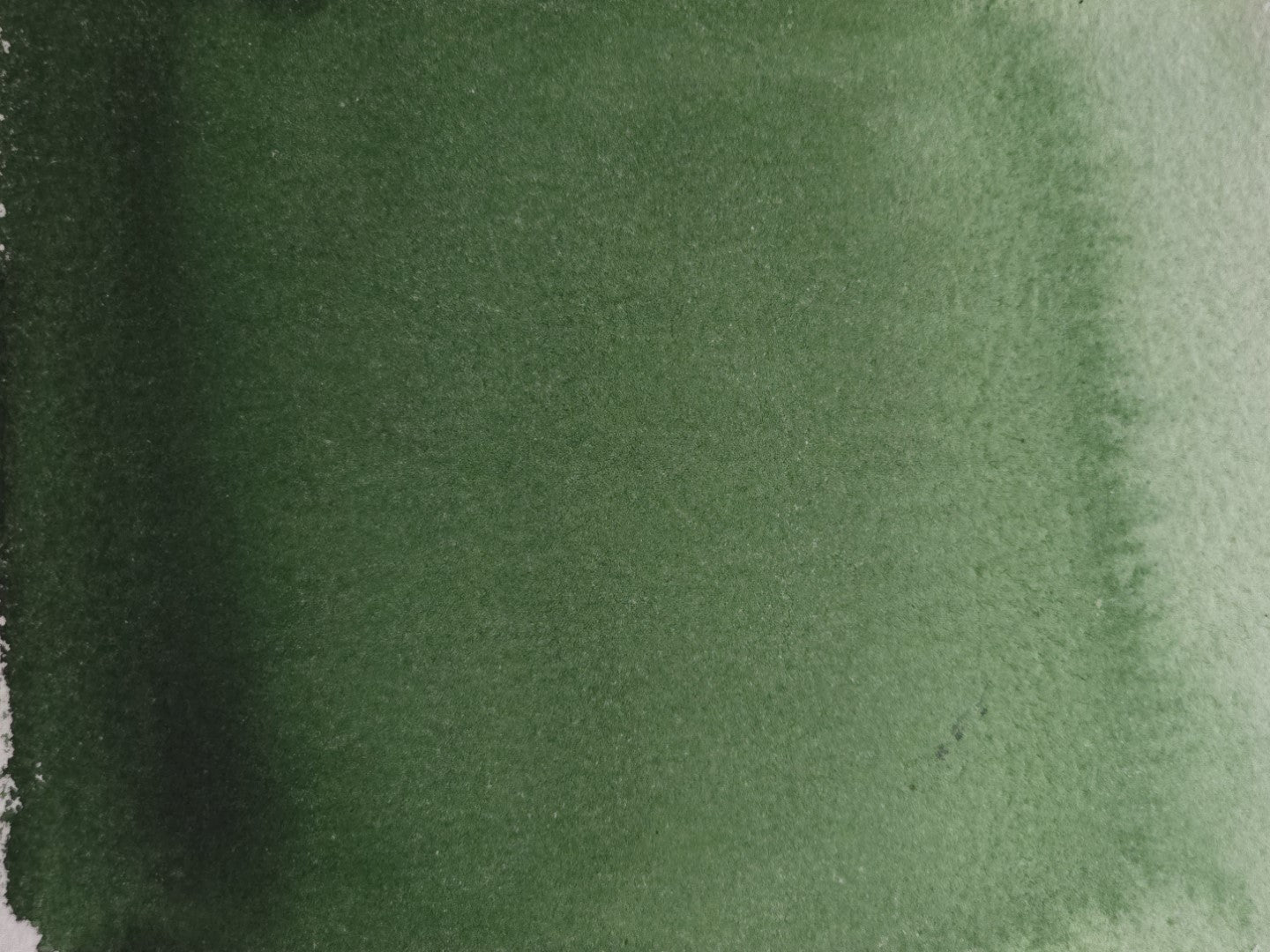 Forest Green [PG7, PBk7]