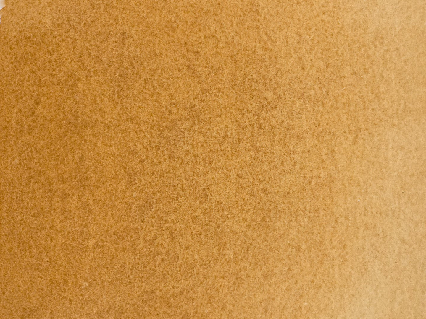Havana Ochre [PY43]