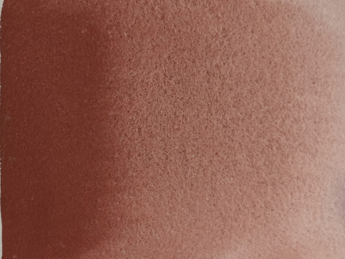 Indian Red Chilli [PR101]