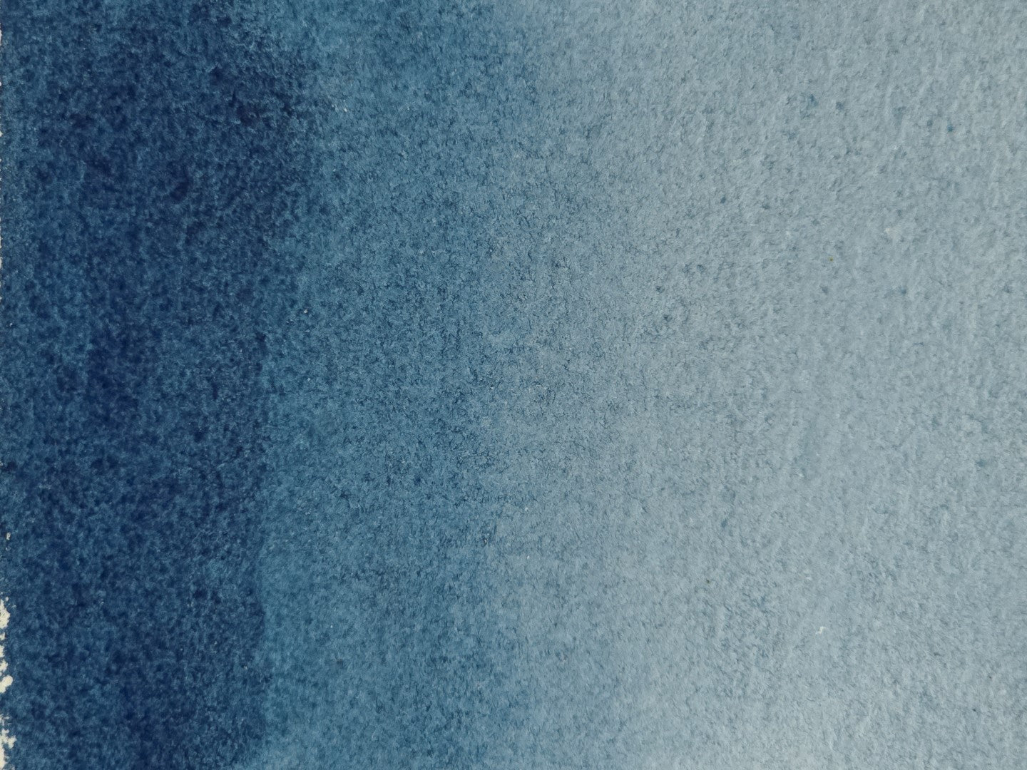 Indigo Fera [NB1]