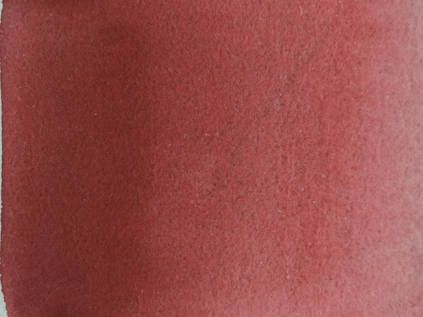 Poinsettia Red [PR112,PR101]