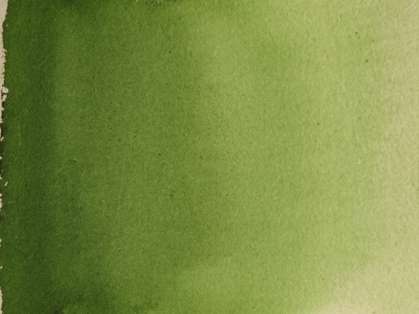 Sap Green [PG7, PY83]