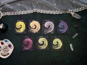 SHIMMER TRIAL KITS